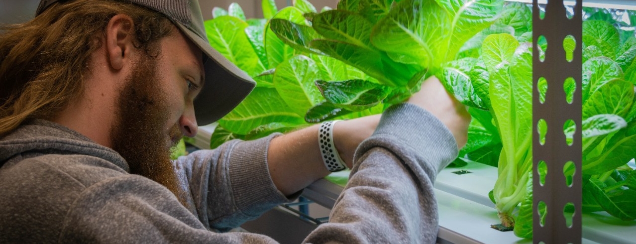 A University of Cincinnati DAAP Horticulture student investigates plants