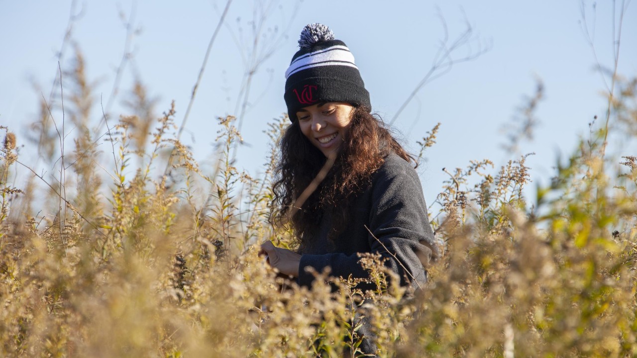 Happy
Botany class goes to UC's Center for Field Studies to collect data.